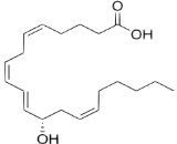 12-Hydroxyeicosatetraenoic Acid (12-HETE)