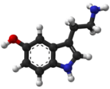 5-Hydroxytryptamine (5-HT)