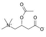 Acetylcarnitine (ALCAR)