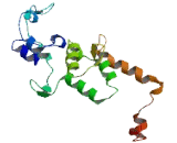 Actin Related Protein 8 (ACTR8)