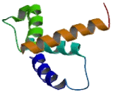 Acyl Coenzyme A Binding Domain Containing Protein 7 (ACBD7)
