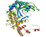 Alanyl tRNA Synthetase (AARS)
