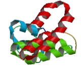Aryl Hydrocarbon Receptor Interacting Protein Like Protein 1 (AIPL1)