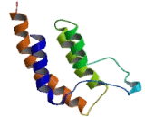 Bromodomain Containing Protein 1 (BRD1)