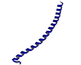 CCAAT/Enhancer Binding Protein Gamma (CEBPg)
