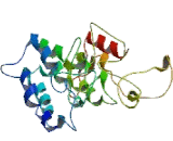 CD3e Molecule Epsilon Associated Protein (CD3eAP)