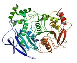 Carboxylesterase 1C (CES1C)