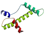 Centromere Protein A (CENPA)