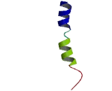Chemokine C-C-Motif Receptor 9 (CCR9)