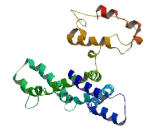 Coiled Coil Domain Containing Protein 185 (CCD<b>C185</b>)