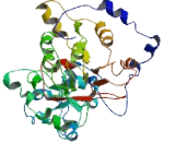 Receptor Transporter Protein 5 (RTP5)