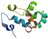 Transmembrane Protein 257 (TMEM257)