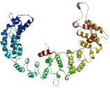 Coatomer Protein Complex Subunit Beta 1 (COPb1)