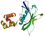 Coiled Coil Domain Containing Protein 113 (CCDC113)