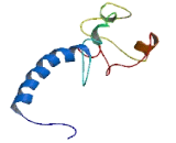Coiled Coil Domain Containing Protein 117 (CCD<b>C117</b>)