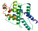 Coiled Coil Domain Containing Protein 124 (CCD<b>C124</b>)