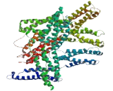 Coiled Coil Domain Containing Protein 144A (CCDC144A)
