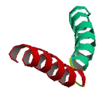 Coiled Coil Domain Containing Protein 167 (CCDC167)