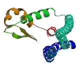 Coiled Coil Domain Containing Protein 27 (CCDC27)