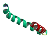 Coiled Coil Domain Containing Protein 3 (CCDC3)