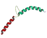 Cyclic AMP Response Element Binding Protein 3 (CREB3)