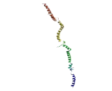Cytoskeleton Associated Protein 4 (CKAP4)