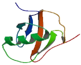 DNA Fragmentation Factor Subunit Alpha (DFFa)