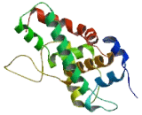 Dicer 1, Ribonuclease Type III (DICER1)