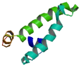 DnaJ/HSP40 Homolog Subfamily C, Member 11 (DNAJC11)