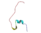 Early Region 1A Protein (E1A)