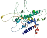 Endothelin Receptor A (ETRA)
