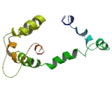 Etoposide Induced Protein 2.4 (EI24)