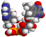 Flavin Adenine Dinucleotide (FAD)