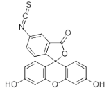 Fluorescein Isothiocyanate (FITC)