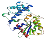 G Protein Alpha Activating Activity Polypeptide O (GNaO1)