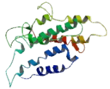 G Protein Coupled Receptor 131 (GPR131)