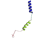 G Protein Gamma 2 (GNg2)