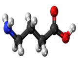 Gamma-Aminobutyric Acid (gABA)
