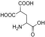 Gamma-Carboxyglutamic Acid (gla)