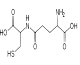Gamma-Glutamylcysteine (gGLU)