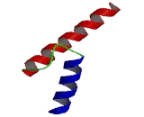 Inhibitor of DNA Binding Protein 1 (ID1)