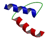 Inhibitor of DNA Binding Protein 2 (ID2)