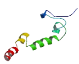 Interferon Induced Transmembrane Protein 3 (IFITM3)