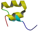 Matrix Gla Protein (MGP)