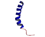 Melanocortin 5 Receptor (MC5R)