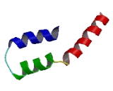 Membrane Protein, Palmitoylated 2 (MPP2)