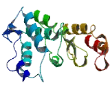 Methyl CpG Binding Domain Protein 3 Like Protein 4 (MBD3L4)