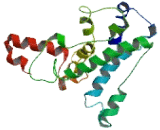 Minichromosome Maintenance Complex Binding Protein (MCMBP)