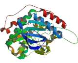 Mitogen Activated Protein Kinase 5 (MAPK5)