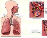 Acute Lung Injury (ALI)